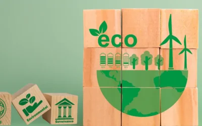 Sustainability is Not a Trend: How to Turn It into a Real Competitive Advantage in 2026