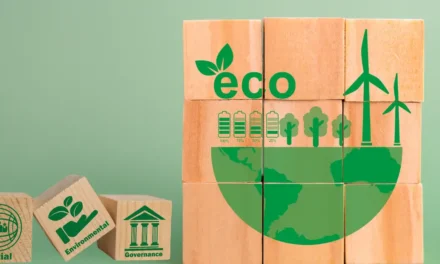 Sustainability is Not a Trend: How to Turn It into a Real Competitive Advantage in 2026